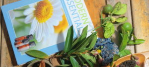modern essentials aromatherapy