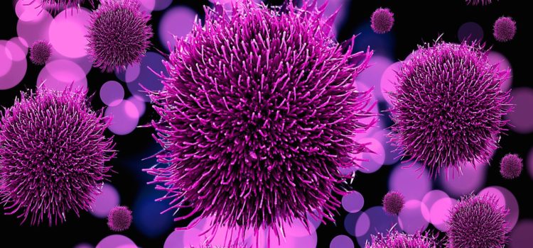 WHAT’S SO GOOD ABOUT COMPREHENSIVE STOOL TESTING? WHAT’S SO GOOD ABOUT COMPREHENSIVE STOOL TESTING?