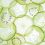 PLANT BASED SUPPLEMENTS AND NUTRACEUTICALS FOR HEALTHY IMMUNITY IN 2021