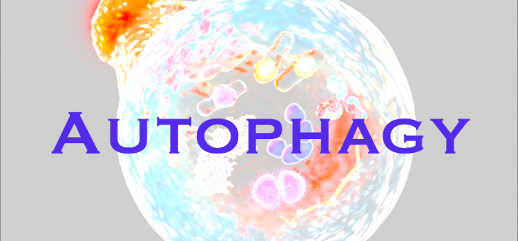 AUTOPHAGY AND DOWN SYNDROME